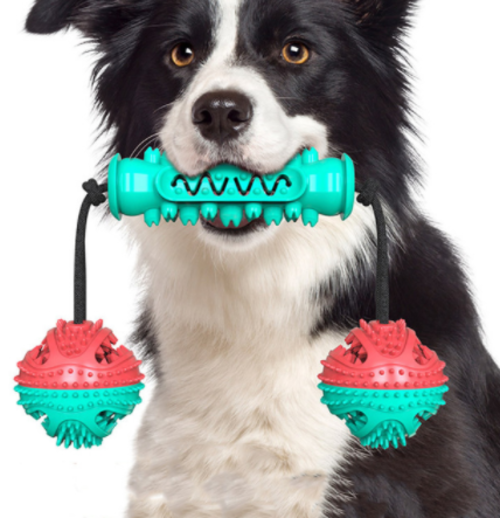 Rubber Bone Dog Chew Toy