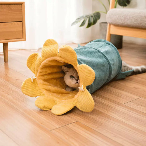 Fruit-Shaped Cat Play Tunnel