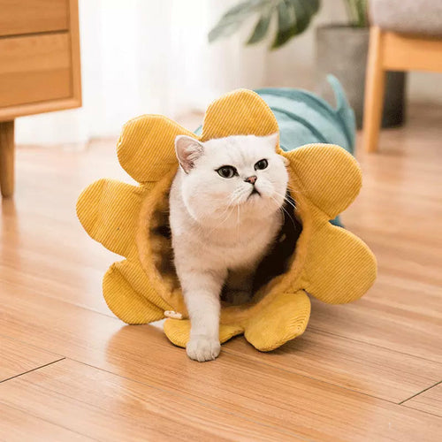 Fruit-Shaped Cat Play Tunnel