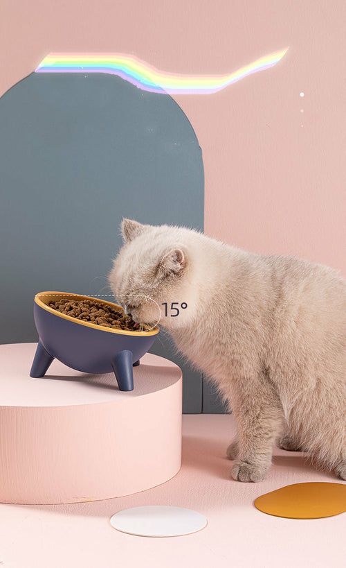 Raised Pet Feeding Bowl with Stand