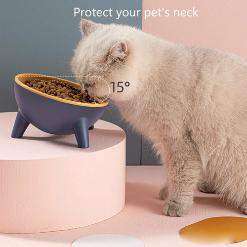 Raised Pet Feeding Bowl with Stand