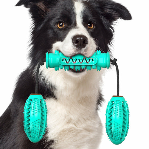 Rubber Bone Dog Chew Toy