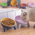Raised Pet Feeding Bowl with Stand