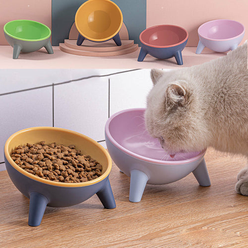 Raised Pet Feeding Bowl with Stand