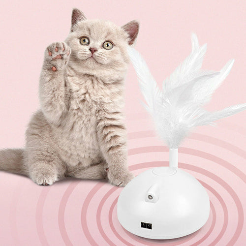 USB Rechargeable Cat Teaser