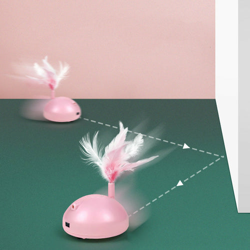 USB Rechargeable Cat Teaser